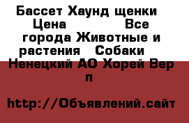 Бассет Хаунд щенки › Цена ­ 20 000 - Все города Животные и растения » Собаки   . Ненецкий АО,Хорей-Вер п.